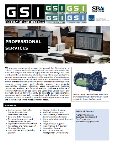 GSI Professional Services fact sheet